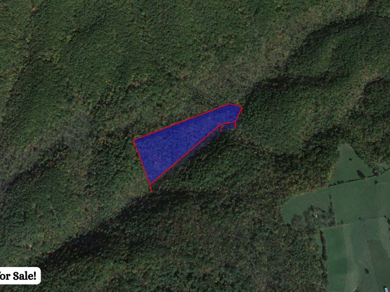 11.38 Ac Located in Carroll County : Woodlawn : Carroll County : Virginia