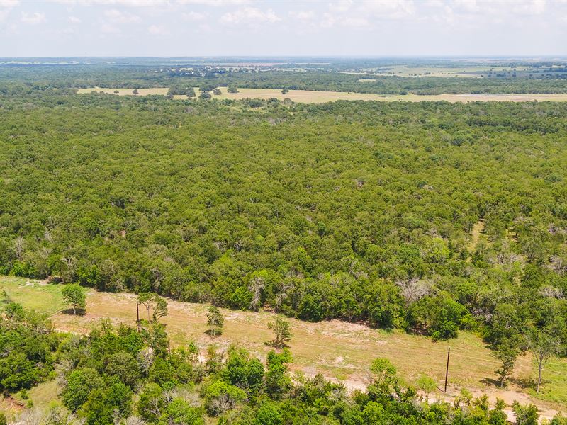 10 Acres in Milam County, Tract 14 : Buckholts : Milam County : Texas