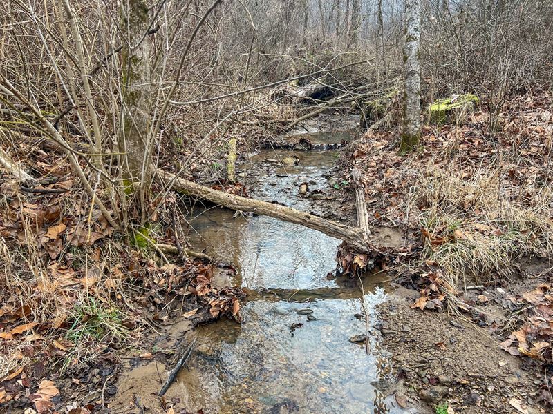 Federal Creek Rd 55 Acres : Crown City : Lawrence County : Ohio