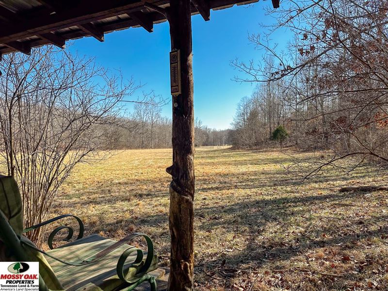 81.71 Turnkey Hunting Tract : Lynnville : Giles County : Tennessee