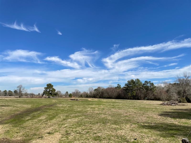 Lone Pine Ranch : Montgomery : Montgomery County : Texas