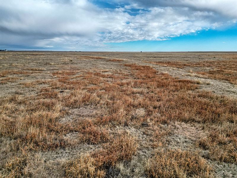 Ronald Thompson Crp : Two Buttes : Baca County : Colorado