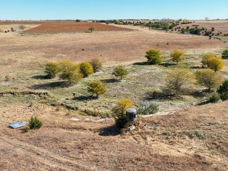 Central Kansas Upland, Whitetails : Claflin : Barton County : Kansas