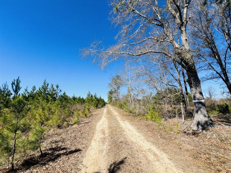 Horse Creek North : McRae : Telfair County : Georgia