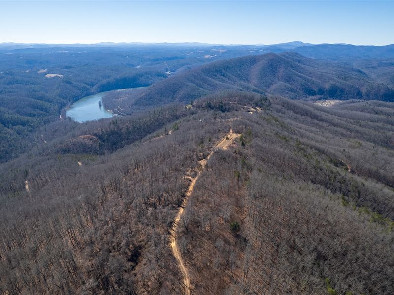 175 Acres on Top of Stoots Mountain : Austinville : Carroll County : Virginia