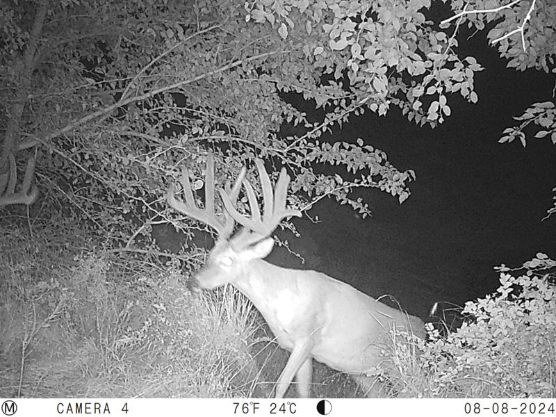 Blue Gate Ranch, Cowley County KS : Winfield : Cowley County : Kansas