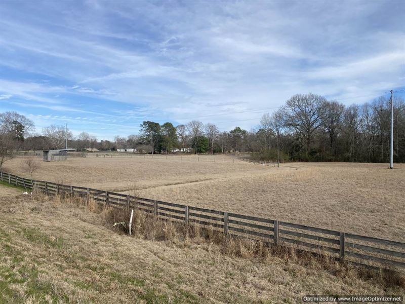 Beautiful Farm with Views : Terry : Hinds County : Mississippi