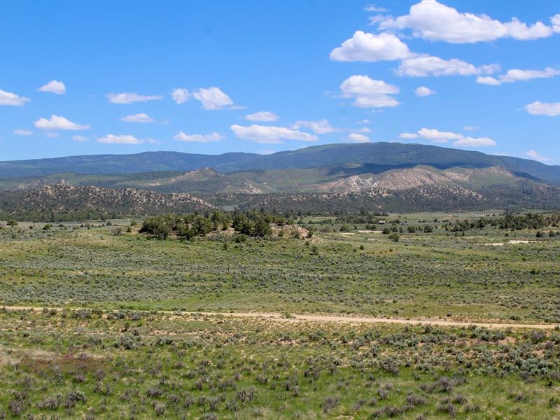 Ra391 Gmu 5A, 213 Acres : Regina : Rio Arriba County : New Mexico