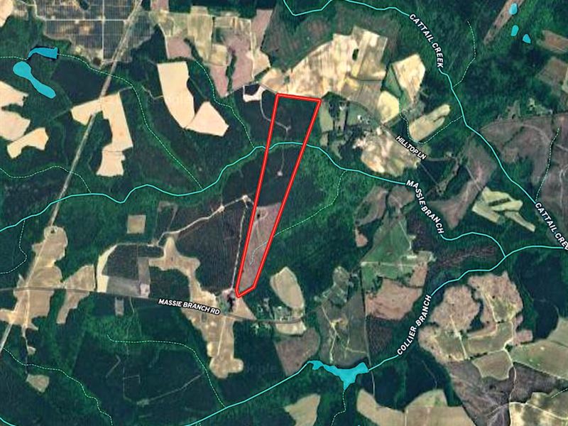 70.27 Acres of Ti : Skippers : Greensville County : Virginia