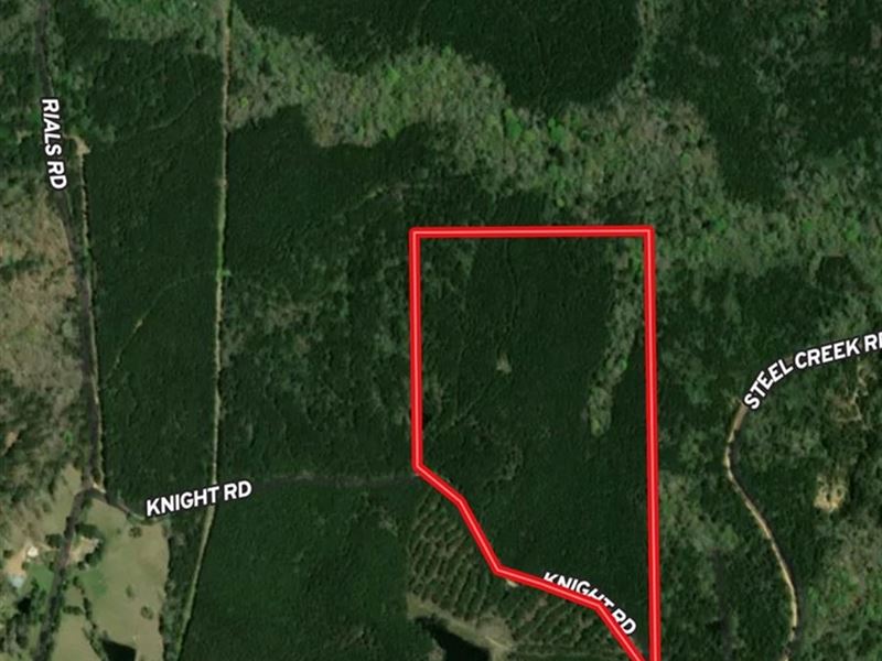 50 Acres Near Hazlehurst, Mississip : Hazlehurst : Copiah County : Mississippi