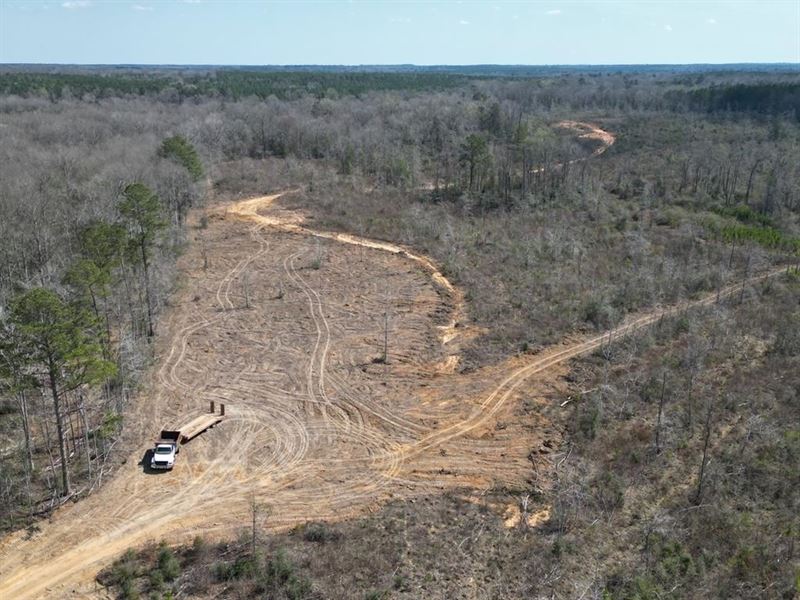 60+ Acres Near Osyka, MS Pike Coun : Osyka : Pike County : Mississippi