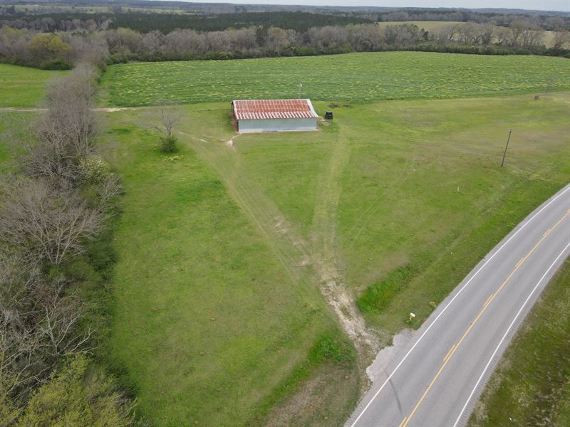 35 Acres Hwy 141 Elba, AL : Elba : Coffee County : Alabama