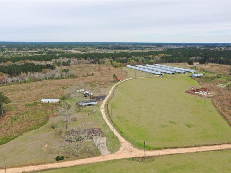 Good Carter Farm : Nicholls : Ware County : Georgia