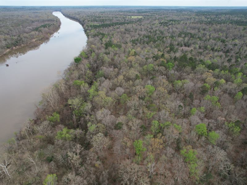 Barlow Bend 309 : Gainestown : Clarke County : Alabama