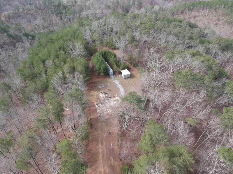 Ridgeline Retreat 70Ac : Piedmont : Cleburne County : Alabama