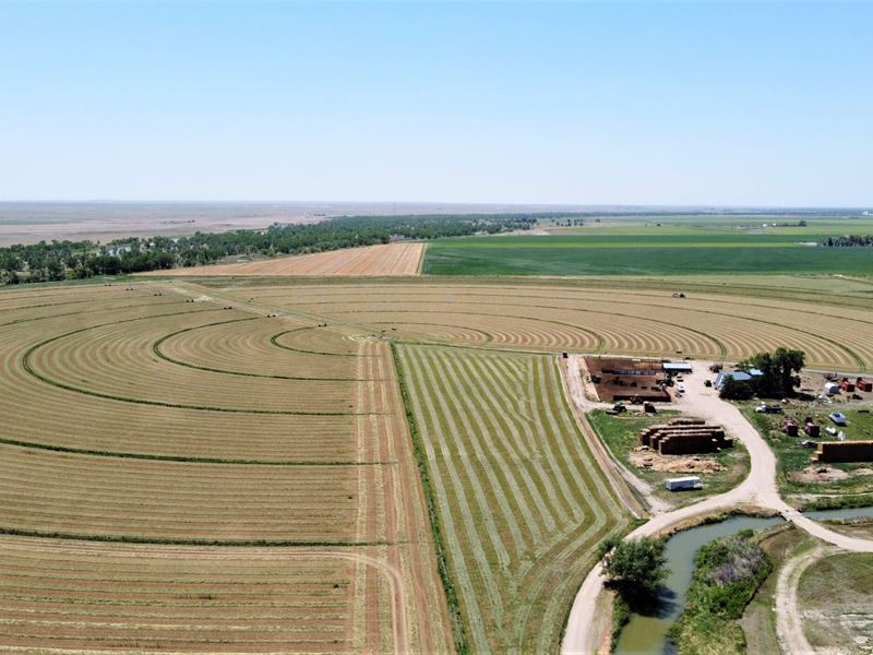 Logan County 290 Farm & House : Sterling : Logan County : Colorado