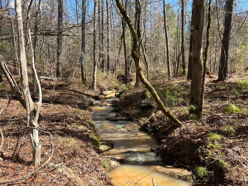 Hulmes Chapel Timber, Tract 3 : Elberton : Elbert County : Georgia