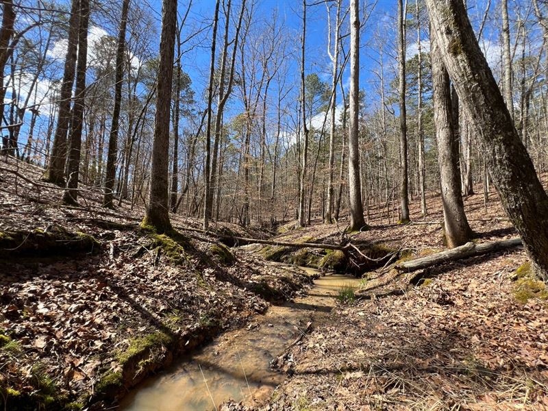 Hulmes Chapel Recreation, Tract 3 : Elberton : Elbert County : Georgia