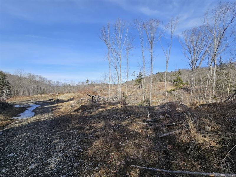 Washington Gore Road Gravel Lot : Washington : Androscoggin County : Maine