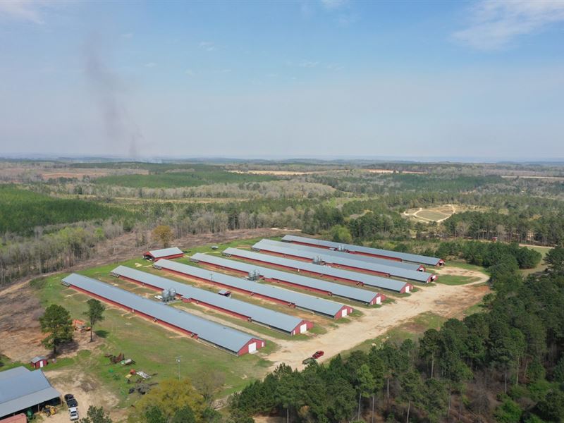 Big Pine Broiler Farm : Abbeville : Henry County : Alabama