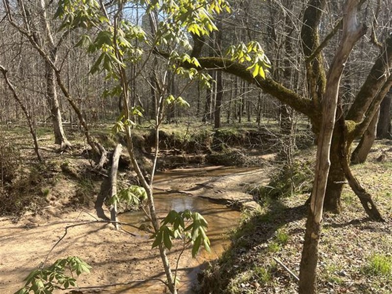 Large Timber and Hunting Tract : Stephens : Oglethorpe County : Georgia