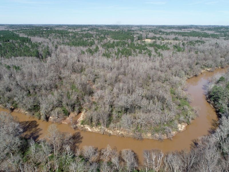 41 Acres Wooded on The River : Covington : Newton County : Georgia