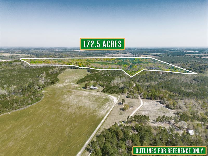 172.5 Acres, Bunton Rd : Waycross : Ware County : Georgia