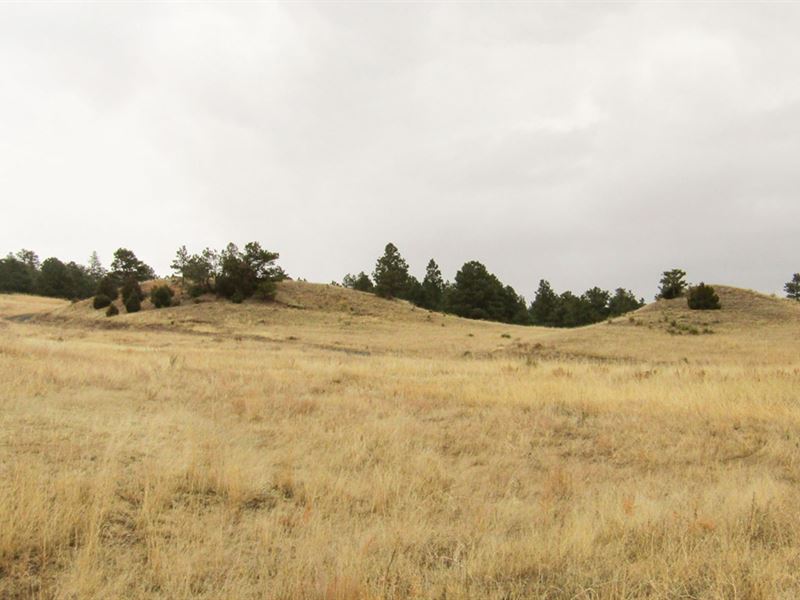 The Coyote Trail Acreage : Fort Laramie : Goshen County : Wyoming