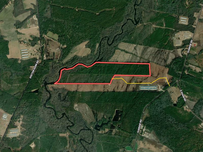 137.18 Acres : Ivanhoe : Sampson County : North Carolina