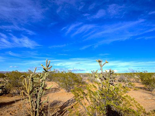 Texas Ranches for Sale : RANCHFLIP