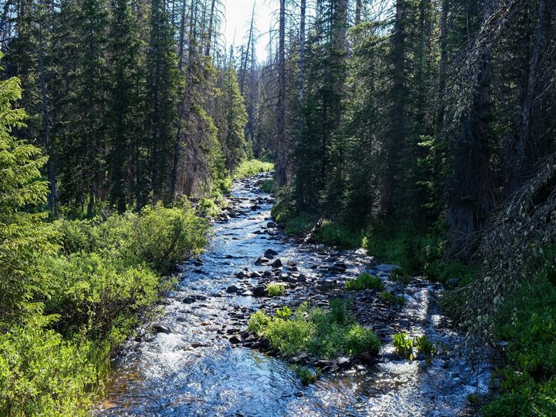 Gold Hill Ranch : Ryan Park : Carbon County : Wyoming