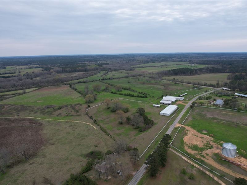 106 Acres in Attala County in Salli : Sallis : Attala County : Mississippi