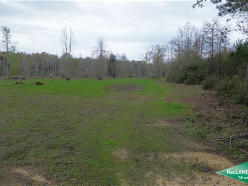 40 Ac, Wooded Tract on Kepler Lake : Jamestown : Bienville Parish : Louisiana