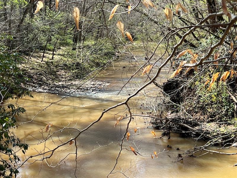 Jackson County, GA Riverfront Land : Pendergrass : Jackson County : Georgia