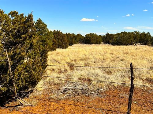 Concho Arizona Resort Ranches for Sale : RANCHFLIP