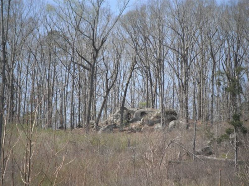 Home Site, Hunting Land : Heath Springs : Lancaster County : South Carolina