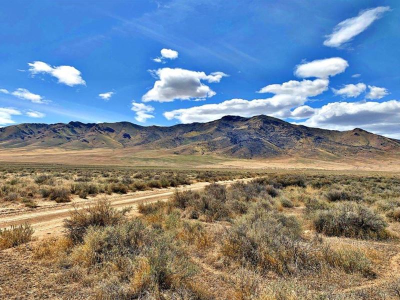 20 Acres, Great Soil and Views : Winnemucca : Pershing County : Nevada