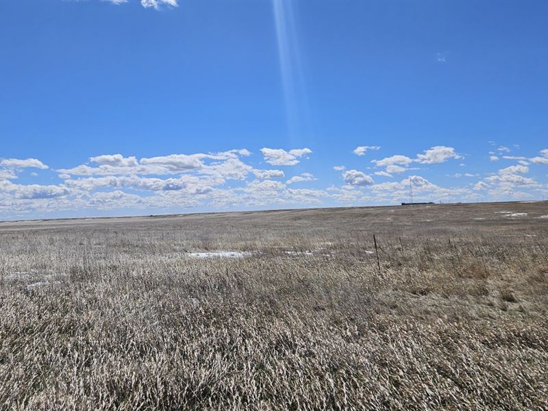 NW Kimball Crp : Kimball : Kimball County : Nebraska