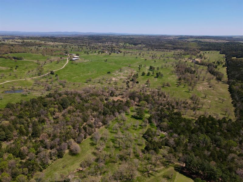 Franklin County Cattle Farm : Charleston : Franklin County : Arkansas