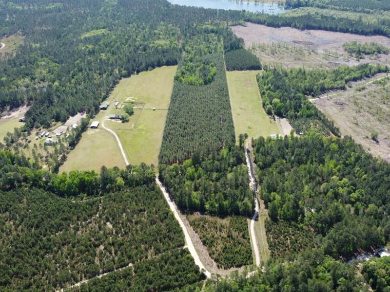 Old Happy Farm, Tract 1 : Brooklet : Bulloch County : Georgia