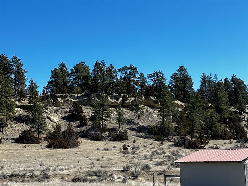 10 Shoestring Road : Lavina : Musselshell County : Montana