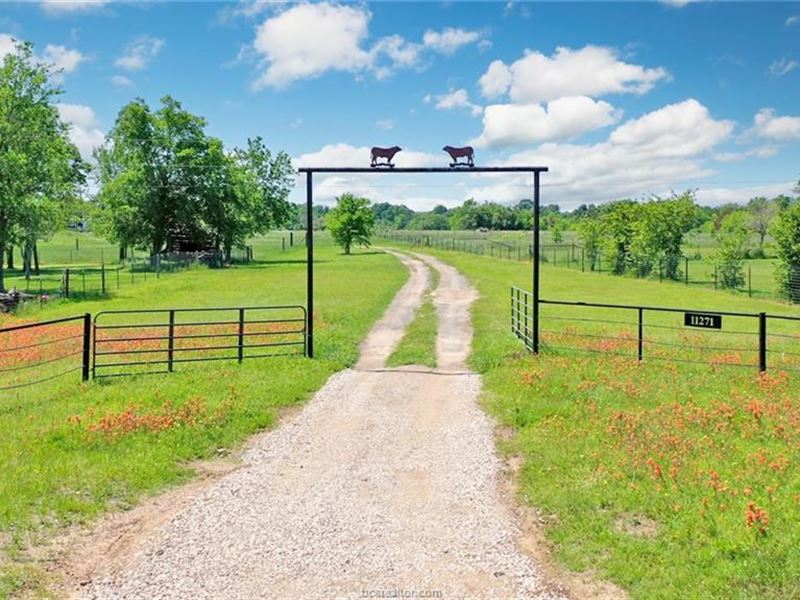 44+ Acres in Madison County : North Zulch : Madison County : Texas