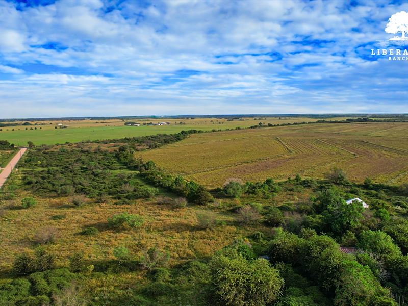 Alleyton Tract 6, Only $15K Down : Cat Spring : Colorado County : Texas