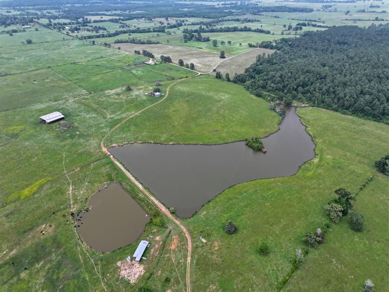 297 Acres, T-2 County Road 3340 : Crockett : Houston County : Texas