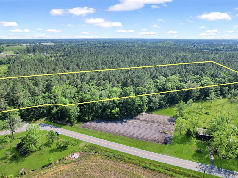 Piney Bluff Road, 10 Acres : Baxley : Appling County : Georgia