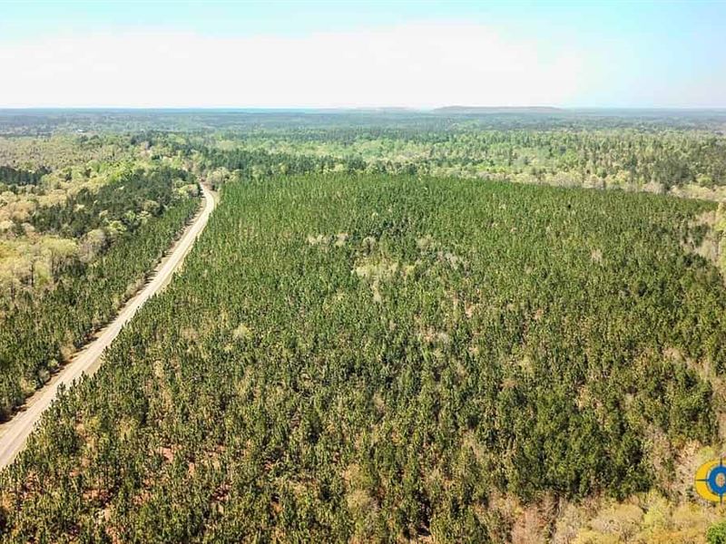 Buffalo Creek North Tract : Jefferson : Kershaw County : South Carolina