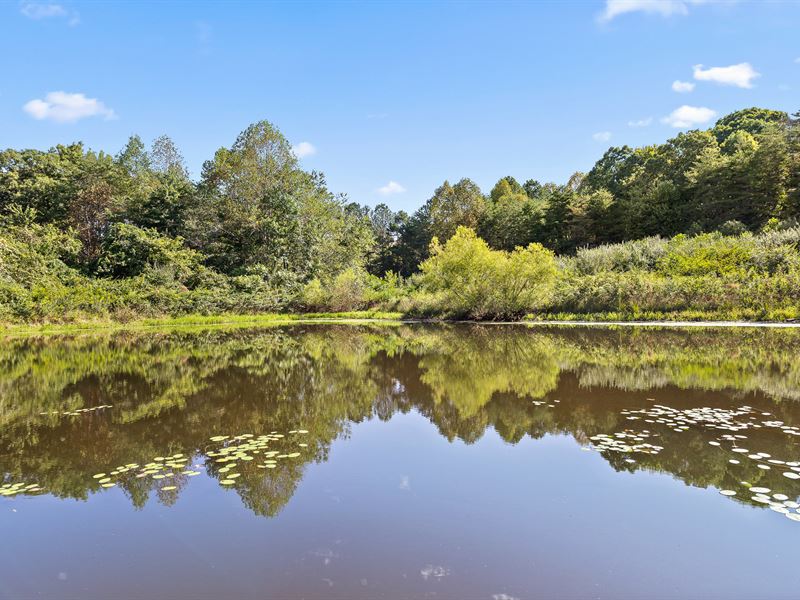 Pond On 23+/- Unrestricted Acres : Dunlap : Sequatchie County : Tennessee