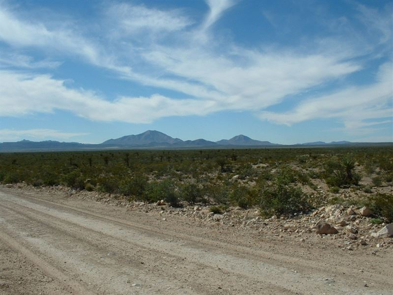 60 Acres Rolling Land Only $459/Mo : Sierra Blanca : Hudspeth County : Texas