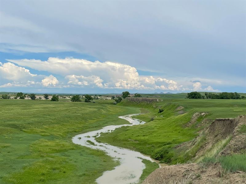 1,070 Acres, Dawes County : Whitney : Dawes County : Nebraska