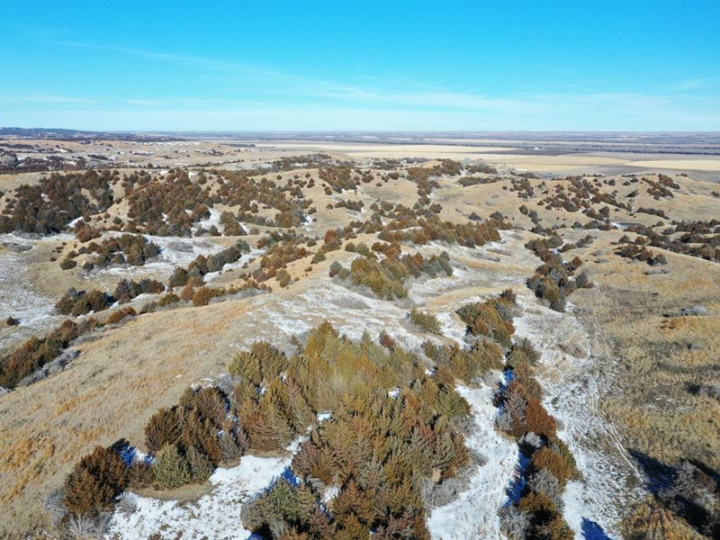 534 Acres, Lincoln County, Cedar : Brady : Lincoln County : Nebraska